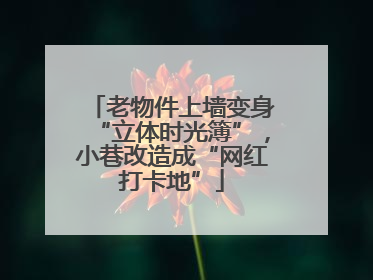 老物件上墙变身“立体时光簿”，小巷改造成“网红打卡地”
