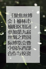 聚焦丝博会丨榆林市榆阳区组团参加第九届丝绸之路国际博览会暨中国东西部合作与投资贸易洽谈会