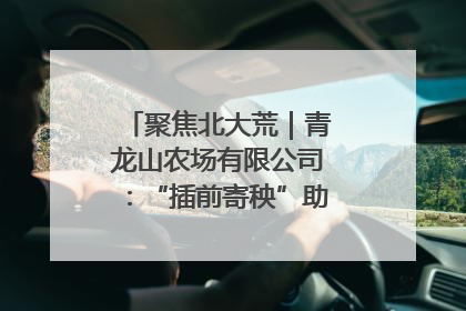聚焦北大荒｜青龙山农场有限公司：“插前寄秧”助力农业节本增效