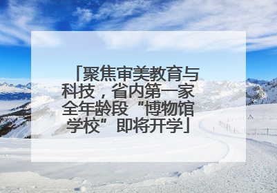 聚焦审美教育与科技，省内第一家全年龄段“博物馆学校”即将开学