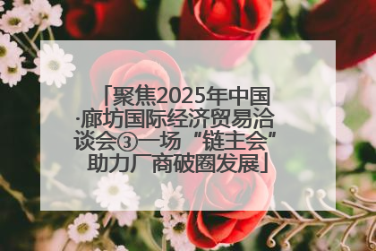 聚焦2025年中国·廊坊国际经济贸易洽谈会③一场“链主会” 助力厂商破圈发展