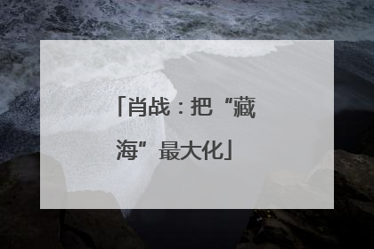 肖战：把“藏海”最大化