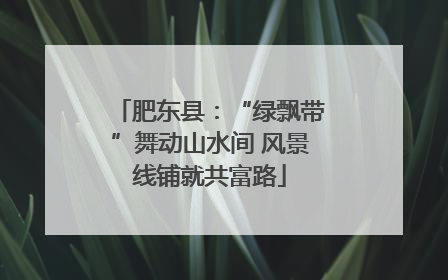 肥东县：“绿飘带”舞动山水间 风景线铺就共富路