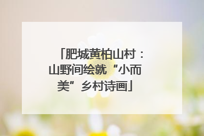 肥城黄柏山村：山野间绘就“小而美”乡村诗画