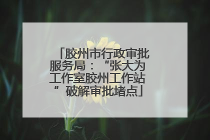 胶州市行政审批服务局：“张大为工作室胶州工作站”破解审批堵点