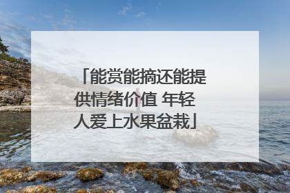 能赏能摘还能提供情绪价值 年轻人爱上水果盆栽