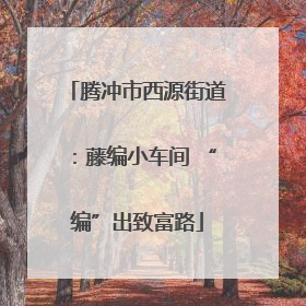 腾冲市西源街道：藤编小车间 “编”出致富路