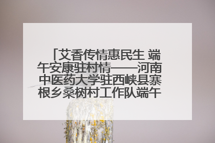 艾香传情惠民生 端午安康驻村情——河南中医药大学驻西峡县寨根乡桑树村工作队端午中医惠民记