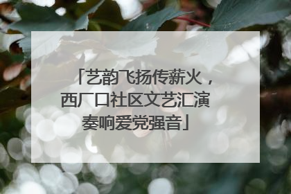 艺韵飞扬传薪火，西厂口社区文艺汇演奏响爱党强音