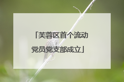 芙蓉区首个流动党员党支部成立