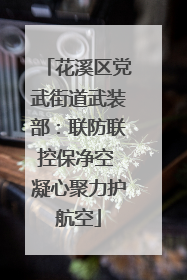 花溪区党武街道武装部：联防联控保净空 凝心聚力护航空