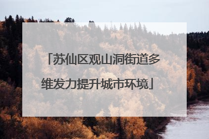 苏仙区观山洞街道多维发力提升城市环境