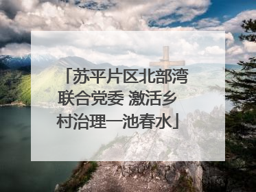 苏平片区北部湾联合党委 激活乡村治理一池春水