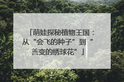 萌娃探秘植物王国：从“会飞的种子”到“善变的绣球花”