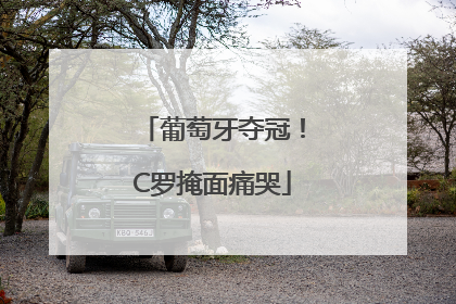 葡萄牙夺冠！C罗掩面痛哭