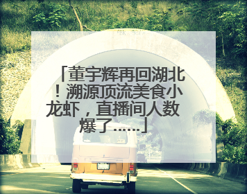董宇辉再回湖北！溯源顶流美食小龙虾，直播间人数爆了……