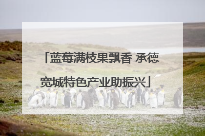 蓝莓满枝果飘香 承德宽城特色产业助振兴