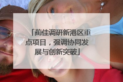 蔺佳调研新港区重点项目，强调协同发展与创新突破