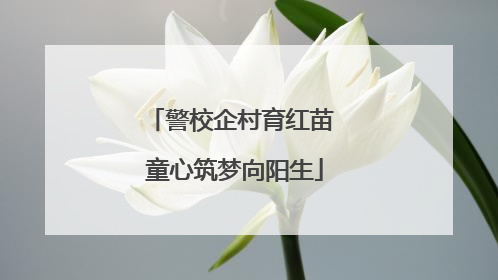警校企村育红苗 童心筑梦向阳生