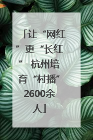 让“网红”更“长红” 杭州培育“村播”2600余人