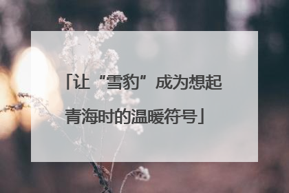 让“雪豹”成为想起青海时的温暖符号