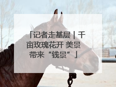 记者走基层｜千亩玫瑰花开 美景带来“钱景”