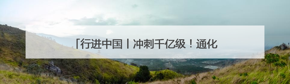 行进中国丨冲刺千亿级！通化医药高新区踏上“新”征程
