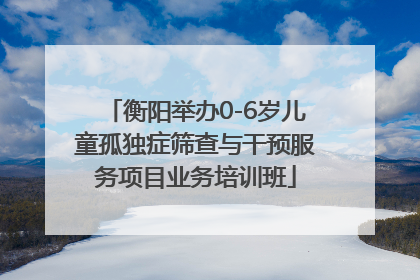 衡阳举办0-6岁儿童孤独症筛查与干预服务项目业务培训班