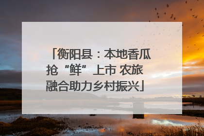 衡阳县：本地香瓜抢“鲜”上市 农旅融合助力乡村振兴