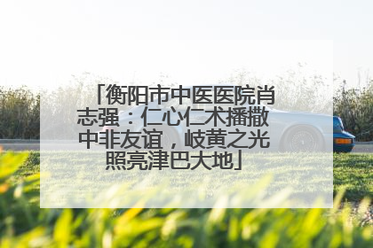 衡阳市中医医院肖志强：仁心仁术播撒中非友谊，岐黄之光照亮津巴大地