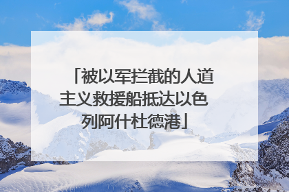 被以军拦截的人道主义救援船抵达以色列阿什杜德港
