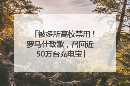 被多所高校禁用！罗马仕致歉，召回近50万台充电宝