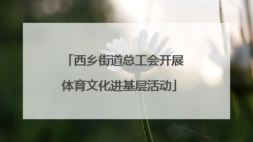 西乡街道总工会开展体育文化进基层活动
