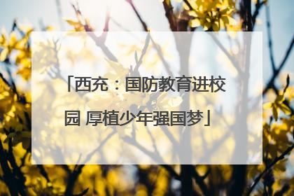 西充：国防教育进校园 厚植少年强国梦