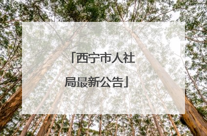 西宁市人社局最新公告