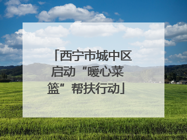 西宁市城中区 启动“暖心菜篮”帮扶行动