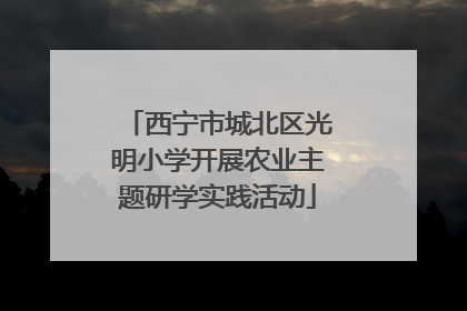 西宁市城北区光明小学开展农业主题研学实践活动