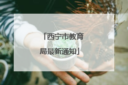 西宁市教育局最新通知
