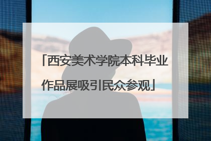 西安美术学院本科毕业作品展吸引民众参观