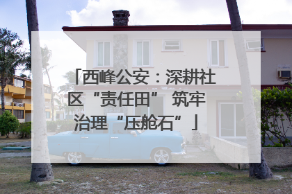 西峰公安：深耕社区“责任田” 筑牢治理“压舱石”