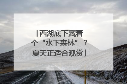 西湖底下藏着一个“水下森林”？夏天正适合观赏