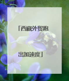 西藏外贸跑出加速度