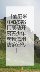 襄阳米庄镇多部门联动开展青少年药物滥用防范宣传