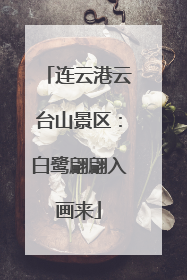 连云港云台山景区：白鹭翩翩入画来