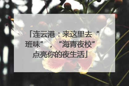 连云港：来这里去“班味”，“海青夜校”点亮你的夜生活