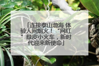 连接泰山渤海 体验人间烟火！“网红”绿皮小火车，新时代迎来新使命
