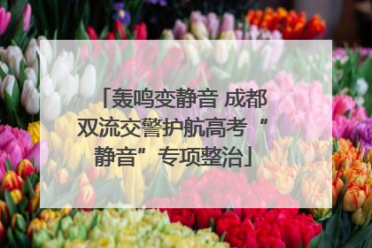 轰鸣变静音 成都双流交警护航高考“静音”专项整治