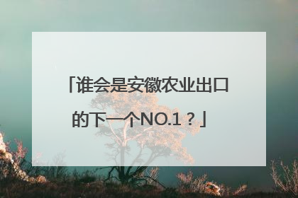 谁会是安徽农业出口的下一个NO.1？