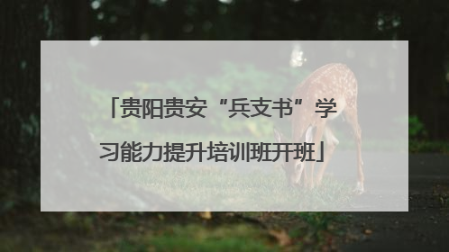 贵阳贵安“兵支书”学习能力提升培训班开班