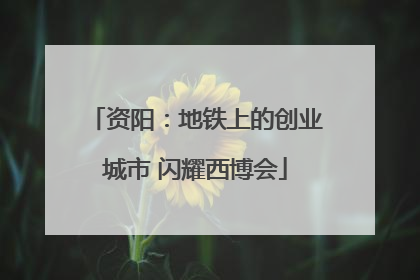 资阳：地铁上的创业城市 闪耀西博会